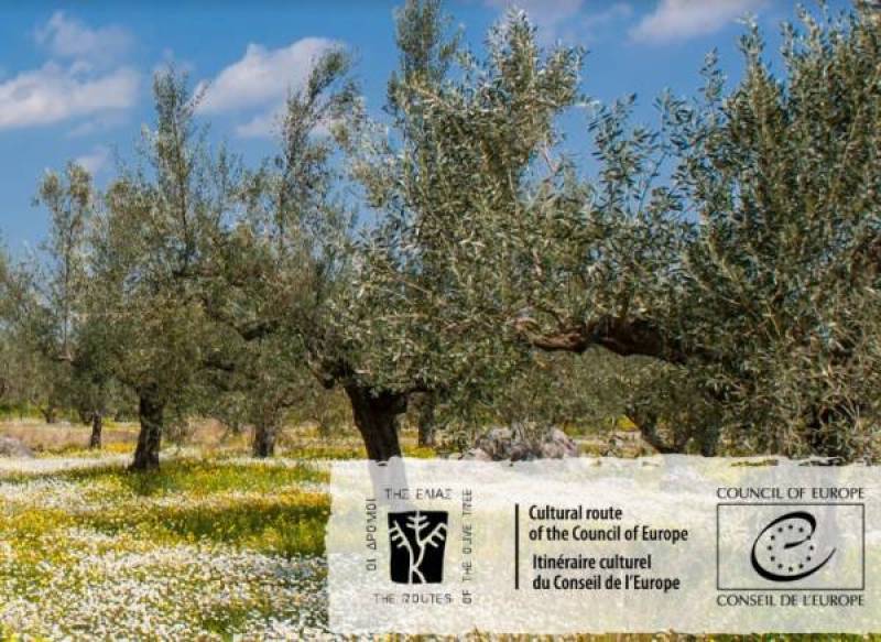 Περιβαλλοντική δράση από τους “Δρόμους της Ελιάς”