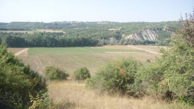 Απόφαση Τατούλη για αναδασμό