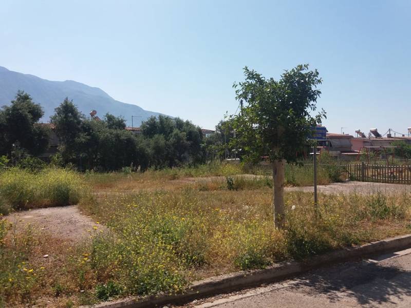 Καλαμάτα: Άμεση ανάγκη για καθαρισμό δημοτικού οικοπέδου στην Ερρίκου Σλήμαν
