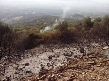 Υπό έλεγχο η φωτιά στην Αρχαία Μεσσήνη
