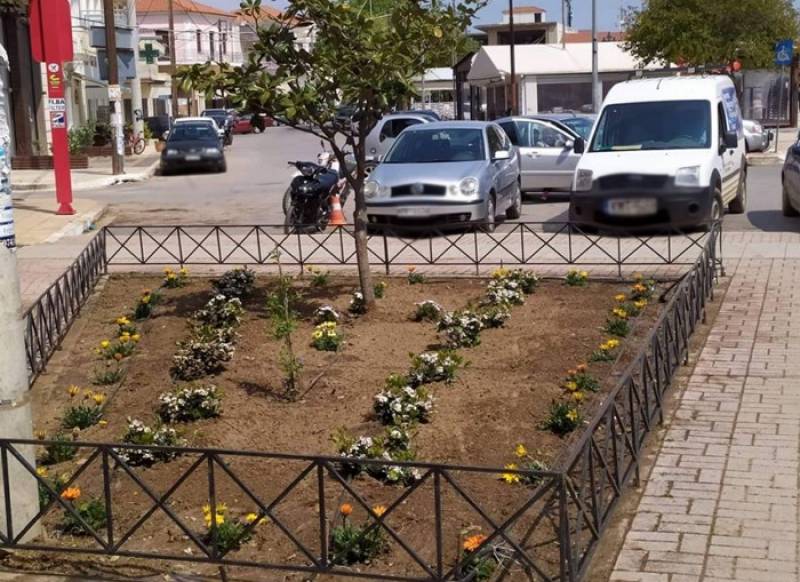 Χρώματα και αρώματα στον πεζόδρομο Φιλιατρών