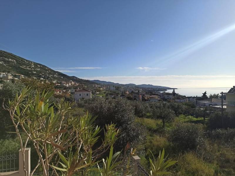 Τριάντα χρόνια για το σχέδιο, πόσα ακόμη για το σπίτι;