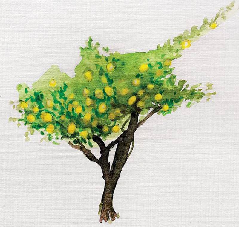 “Πικρία χώρα” από την Κωνσταντία Σωτηρίου I Εκδόσεις Πατάκη