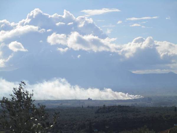 Κάνει ότι δεν ξέρει η Νικολάκου για τα πυρηνελαιουργεία