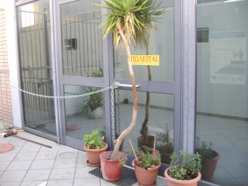 Δήλωση Κόλλια με αφορμή το λουκέτο στη ΔΟΥ Κυπαρισσίας: Η Τριφυλία πληρώνει τον εκσυγχρονισμό