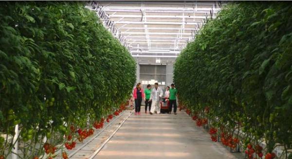 "Εύφορη Γη": Πώς το όραμα συναντά την καινοτομία στη μονάδα της ΑΓΑΝ στη Μεσσήνη (βίντεο)