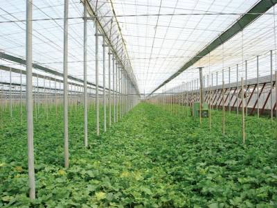 Συνάντηση για ίδρυση Σχολής Τεχνικών Θερμοκηπιακών Καλλιεργειών στα Φιλιατρά