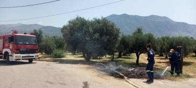 Καλαμάτα: Φωτιά σε ελαιοπερίβολο με ξερά χόρτα