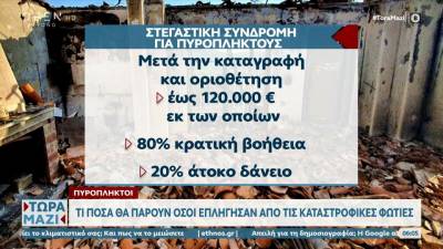 Πυρόπληκτοι: Όλα τα μέτρα που υιοθετεί η κυβέρνηση για την αποκατάσταση των ζημιών