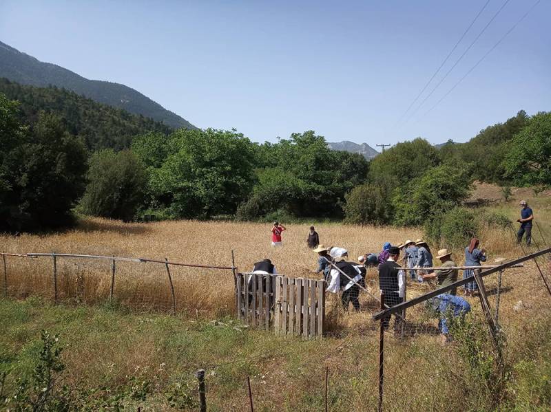 Ολοκληρώθηκε ο θέρος στο Δυρράχι - Με συμμετοχή από ντόπιους και επισκέπτες (βίντεο)