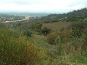 Νεκρός στα Μαλλωτά Αρκαδίας όταν τρακτέρ καταπλάκωσε 41χρονο