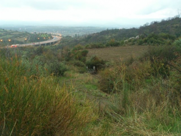 Νεκρός στα Μαλλωτά Αρκαδίας όταν τρακτέρ καταπλάκωσε 41χρονο