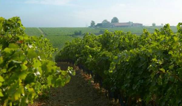 Οδηγίες για ψεκασμό με ζιζανιοκτόνα