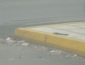 Σκουπιδότοποι στα φανάρια