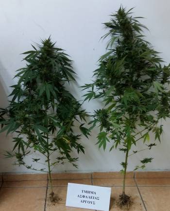 Χειροπέδες σε 44χρονο για χασίς στη Δαλαμανάρα Αργολίδας