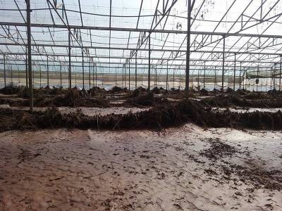 Αγροτικός Σύλλογος Φιλιατρών κατά δήμου για καταστροφές σε καλλιέργειες και θερμοκήπια