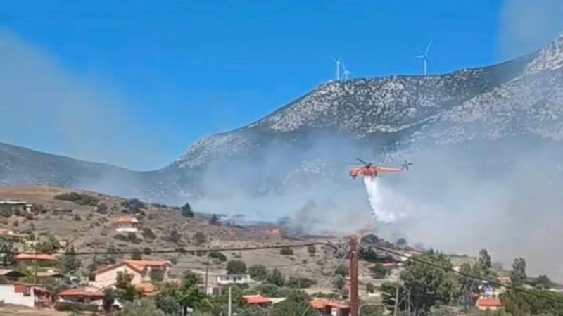 Συνελήφθη 55χρονος μελισσοκόμος για την πυρκαγιά στην Αλυκή Βοιωτίας