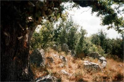 Κάστρα και οχυρά της Μεσσηνίας: Τα ταμπούρια στο Μανιάκι (α' μέρος)