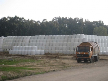 Απομακρύνονται σκουπιδοδέματα από Μαραθόλακκα και Θουρία