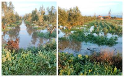 Πλημμύρισαν ξανά κτήματα στη Μικρομάνη