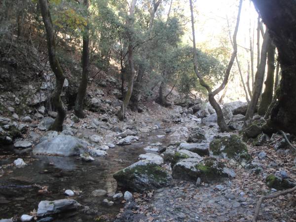 Η Καλαμάτα περιφρονεί το Νέδοντα και τον αφήνει στην τύχη του (φωτογραφίες)