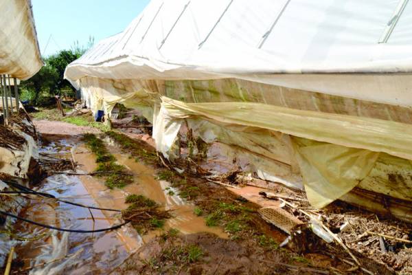 Χουντής: "Κανένα αίτημα στην Ε.Ε. για αντιμετώπιση πλημμυρών στην Πελοπόννησο"