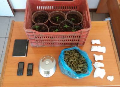 Ζευγάρι συνελήφθη με μισό κιλό χασίς και 7 δενδρύλλια στο ΡΙζόμυλο