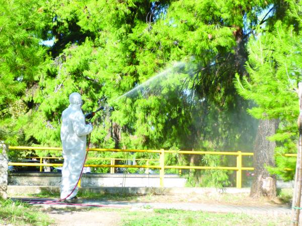 Ψεκασμοί στα πεύκα για καταπολέμηση της κάμπιας (βίντεο)