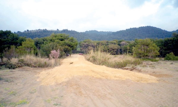 Απάντηση στις καταγγελίες του Συλλόγου "Αρχέλων" από "Νέος Κότινος Ακίνητα Α.Ε."