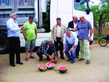 Η υπερπρωιμότητα φέρνει καλές τιμές για τα καρπούζια