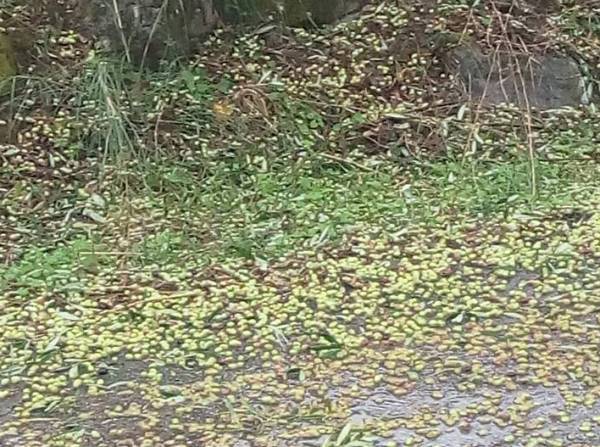 Χαλάζι σε Κάμπο και Πύλα