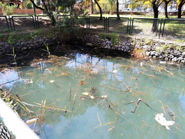 Άσχημη εικόνα και... μυρωδιά