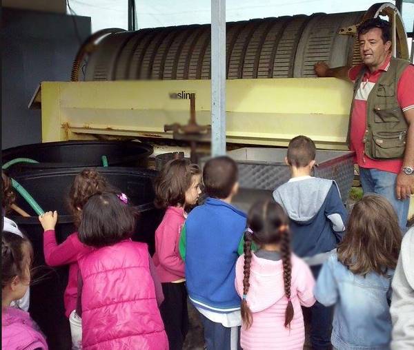 Σε οινοποιείο το 2ο Νηπιαγωγείο Φιλιατρών