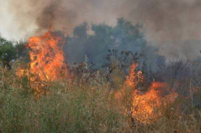 Σε εξέλιξη πυρκαγιά στο Πλατύ