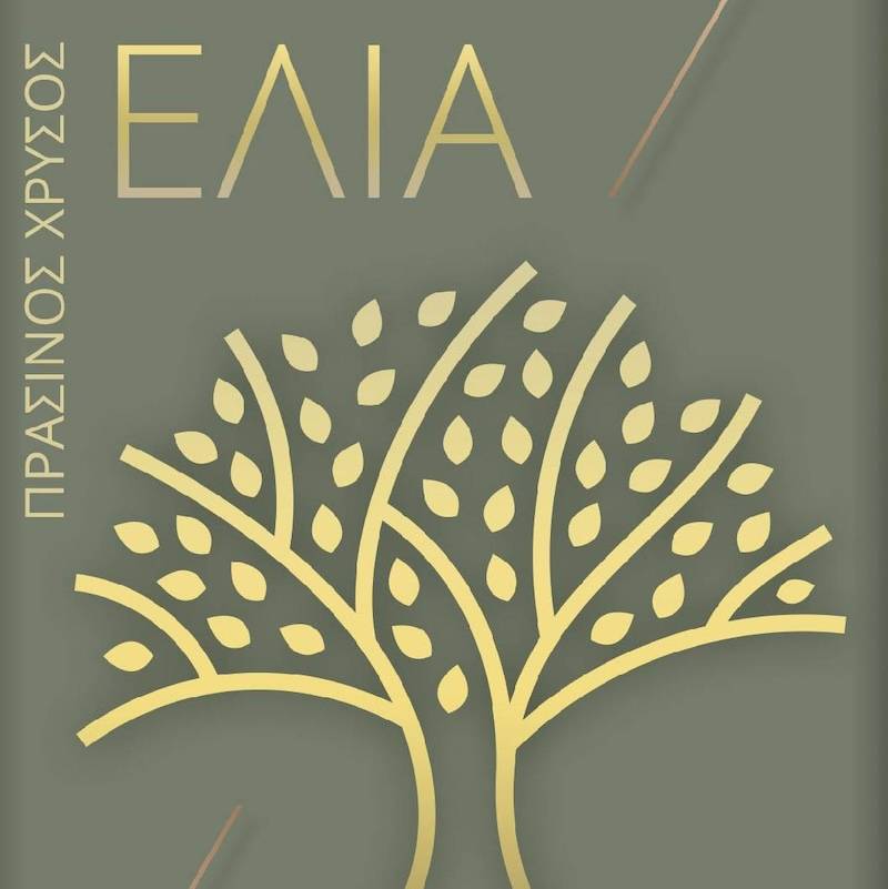 Νέο πρόγραμμα στο Αρχαιολογικό Μουσείο Μεσσηνίας: «Ελιά: Ο πράσινος χρυσός από τα Μυκηναϊκά χρόνια έως την ψηφιακή εποχή»