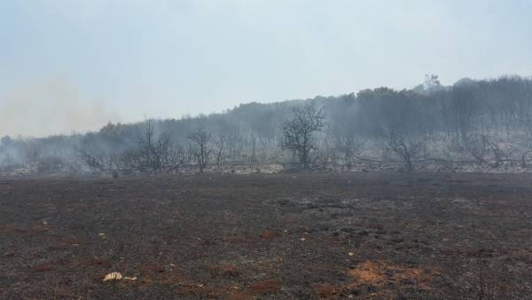 Μεγάλη φωτιά στους Γαργαλιάνους. Ξεκίνησε από τον σκουπιδότοπο κι έκαψε αγροτική και δασική έκταση