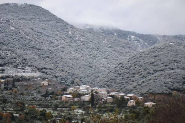 Στα λευκά και τα ορεινά της Τριφυλίας (φωτογραφίες)