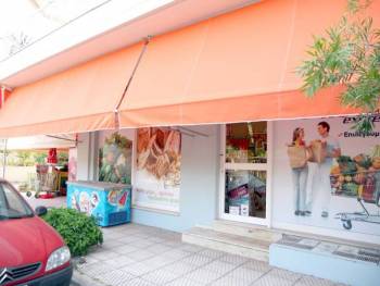 Προφυλακίστηκαν οι 2 τσιγγάνοι για τη ληστεία στην Αύρας