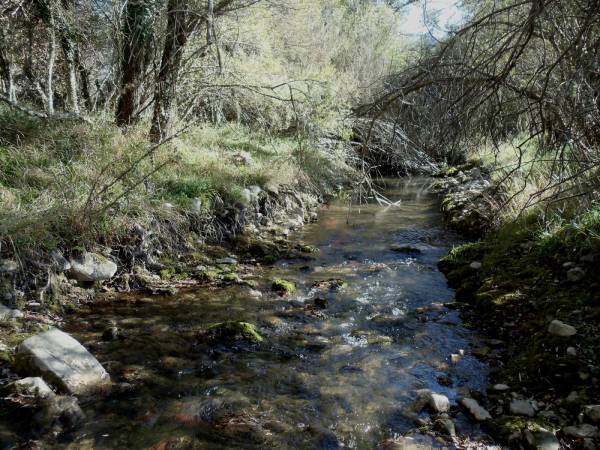 Κιάτο: Πτώμα αγνώστου άνδρα βρέθηκε στον Ελισσώνα