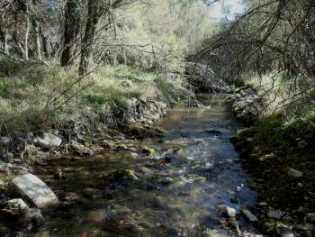 Κιάτο: Πτώμα αγνώστου άνδρα βρέθηκε στον Ελισσώνα