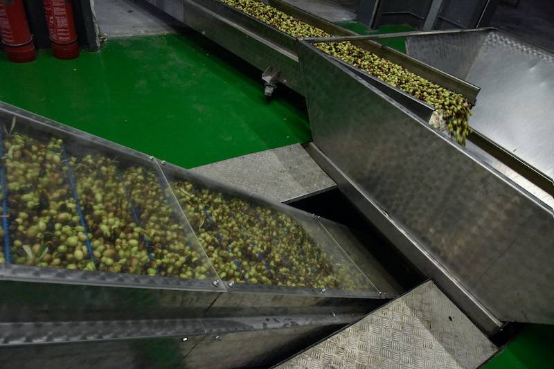 Μηχανισμός στήριξης ελαιοπαραγωγών με βάση το ισπανικό μοντέλο