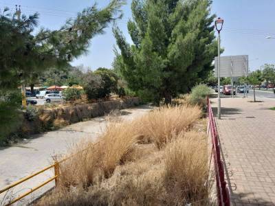 Ακαθάριστη η όχθη του Νέδοντα