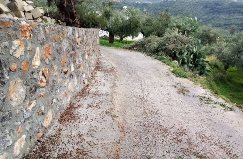 Αποκατάσταση δρόμων στην Αμφεια