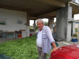 Στα 50 λεπτά έπεσε η τιμή του φασολιού