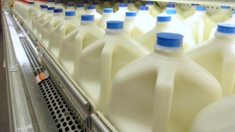 Μεγάλη αύξηση στις τιμές των γαλακτοκομικών (βίντεο)