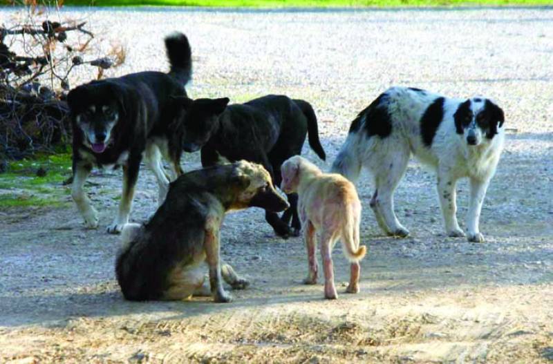 Πολιτισμός δεν είναι μόνο η τέχνη