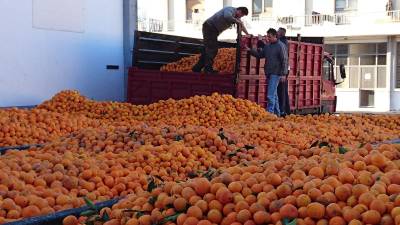 Αχτίδα αισιοδοξίας από τη "Λακωνία"