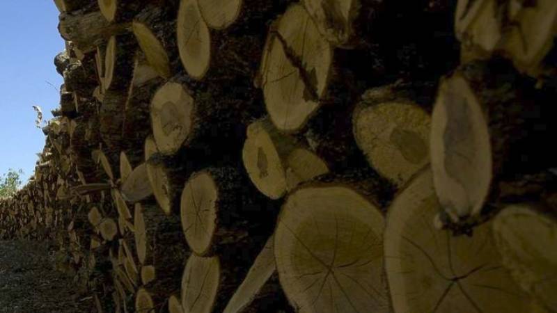 Σε παρέμβαση στην τιμή των καυσόξυλων και του πέλετ προχωρά το υπ. Ανάπτυξης (βίντεο)