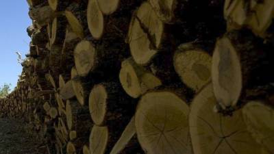 Σε παρέμβαση στην τιμή των καυσόξυλων και του πέλετ προχωρά το υπ. Ανάπτυξης (βίντεο)