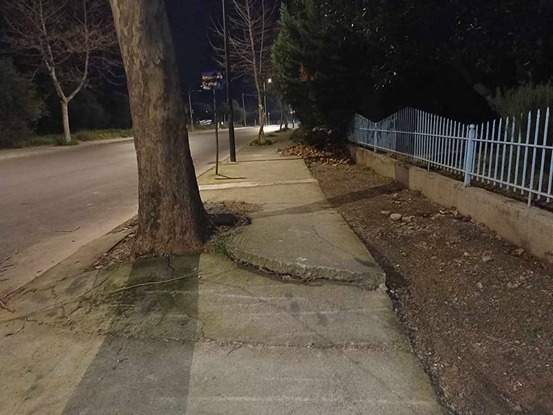 Ρίζες “έσπασαν” το πεζοδρόμιο
